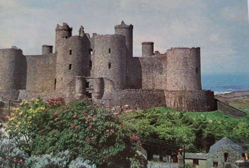 Cartolina non spedita castello - cartolina,