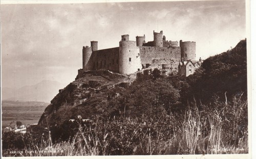 The castle from south west - castle,