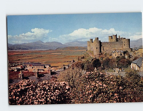 Cartolina castello harlech - castello,