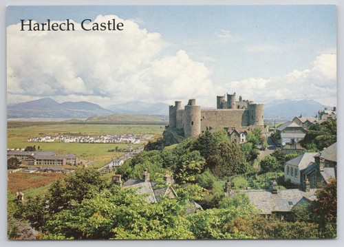 Cartolina castello harlech - castello,