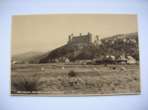 Harlech golf course - course, and