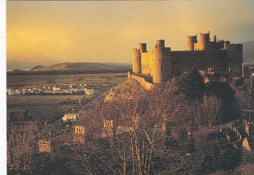 Harlech castle gwynedd - castle,