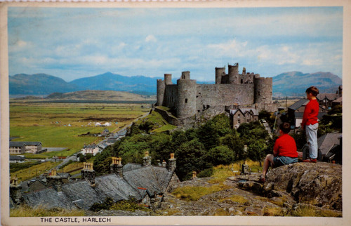 Postcard the castle - postcard,