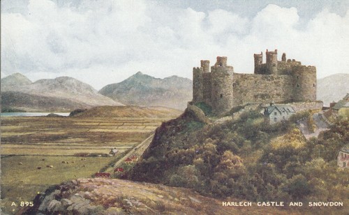 Cartolina castello di - cartolina,