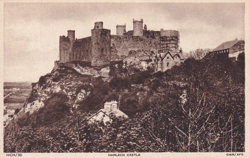 Cartolina castello di - -,