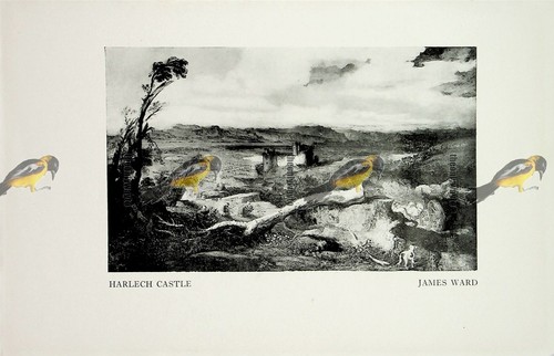 Castello harlech james - di, harlech,