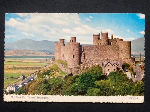 Harlech castle snowdon wales - snowdon,